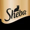 Sheba Delicacy Vegyes Választék Alutasakos Macskaeledel (Lazac, Fehérhúsú hal, Csirke, Pulyka) - 4x85 g