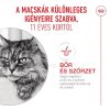 Royal Canin Ageing (11+) Száraz Macskatáp - 4 kg