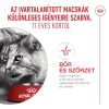 Royal Canin Ageing Sterilised (11+) Száraz Macskatáp - 2 kg