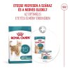 Royal Canin Ageing (15+) Száraz Macskatáp - 400 g