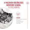 Royal Canin Ageing (15+) Száraz Macskatáp - 2 kg