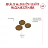 Royal Canin Fussy Exigent Száraz Macskatáp - 2 kg