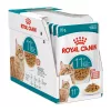 Royal Canin Ageing Gravy (11+) Alutasakos Macskaeledel - 12x85 g