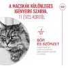 Royal Canin Ageing Gravy (11+) Alutasakos Macskaeledel - 12x85 g