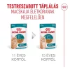 Royal Canin Ageing Gravy (11+) Alutasakos Macskaeledel - 12x85 g