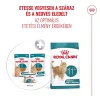 Royal Canin Ageing Gravy (11+) Alutasakos Macskaeledel - 12x85 g