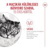 Royal Canin Ageing Gravy (15+) Alutasakos Macskaeledel - 85 g