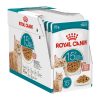 Royal Canin Ageing Gravy (15+) Alutasakos Macskaeledel - 12x85 g