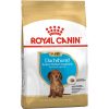 Royal Canin Dachshund Puppy Száraz Kutyatáp - 1,5 kg