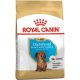 Royal Canin Dachshund Puppy Száraz Kutyatáp - 1,5 kg