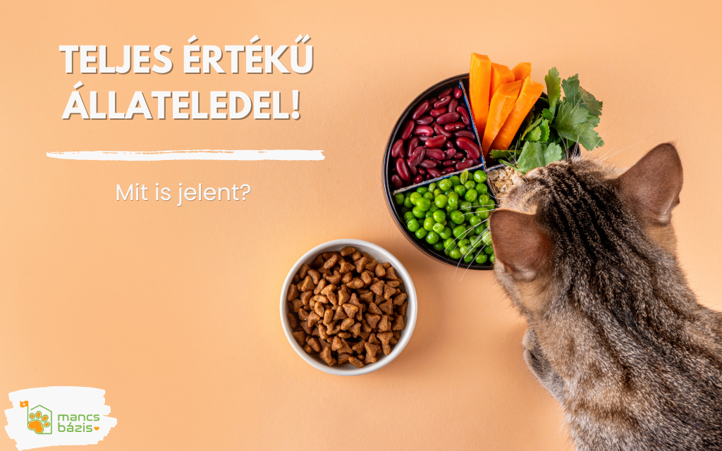 Mit jelent a teljes értékű állateledel és mikor fontos igazán?