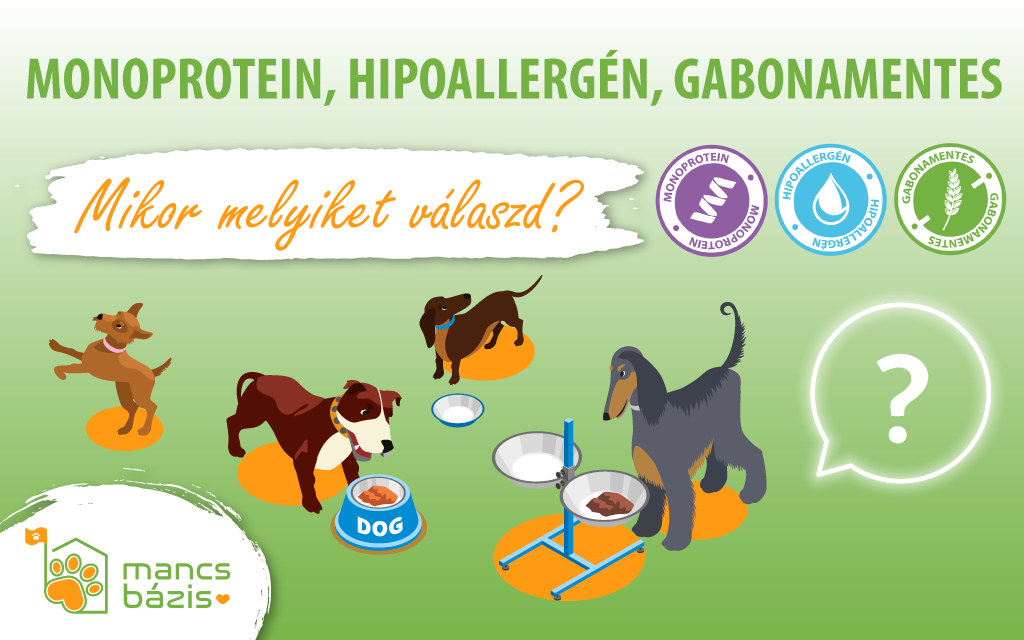 Monoprotein, hipoallergén vagy gabonamentes táp? – Melyiket válaszd kutyádnak vagy macskádnak