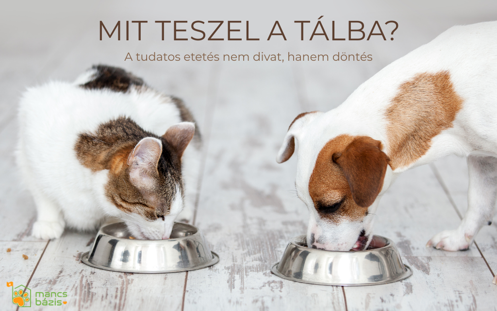 Humanizáció és prémium tápok – tudatos etetés kutyáknak és macskáknak